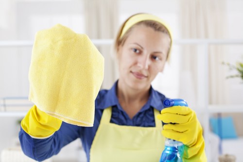 Routine kitchen and surface cleaning in a Shoreditch home