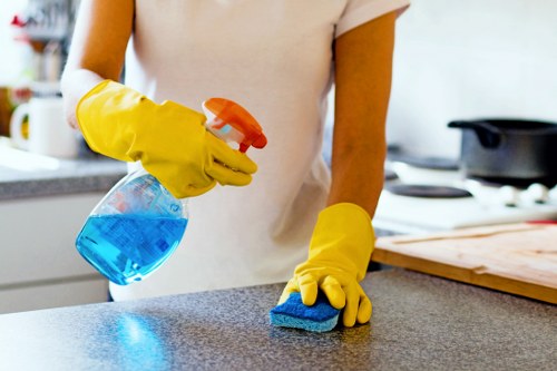 Domestic cleaner in Shoreditch maintaining a bright kitchen