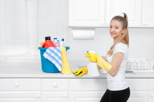 Eco-friendly domestic cleaning in a Shoreditch property