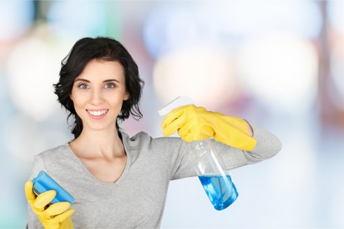Carpet cleaner treating stains in a Shoreditch home