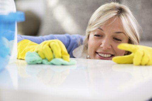 Deep steam carpet cleaning equipment in a Shoreditch home