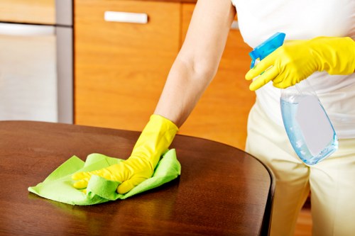 House cleaning team working in a Shoreditch residential flat